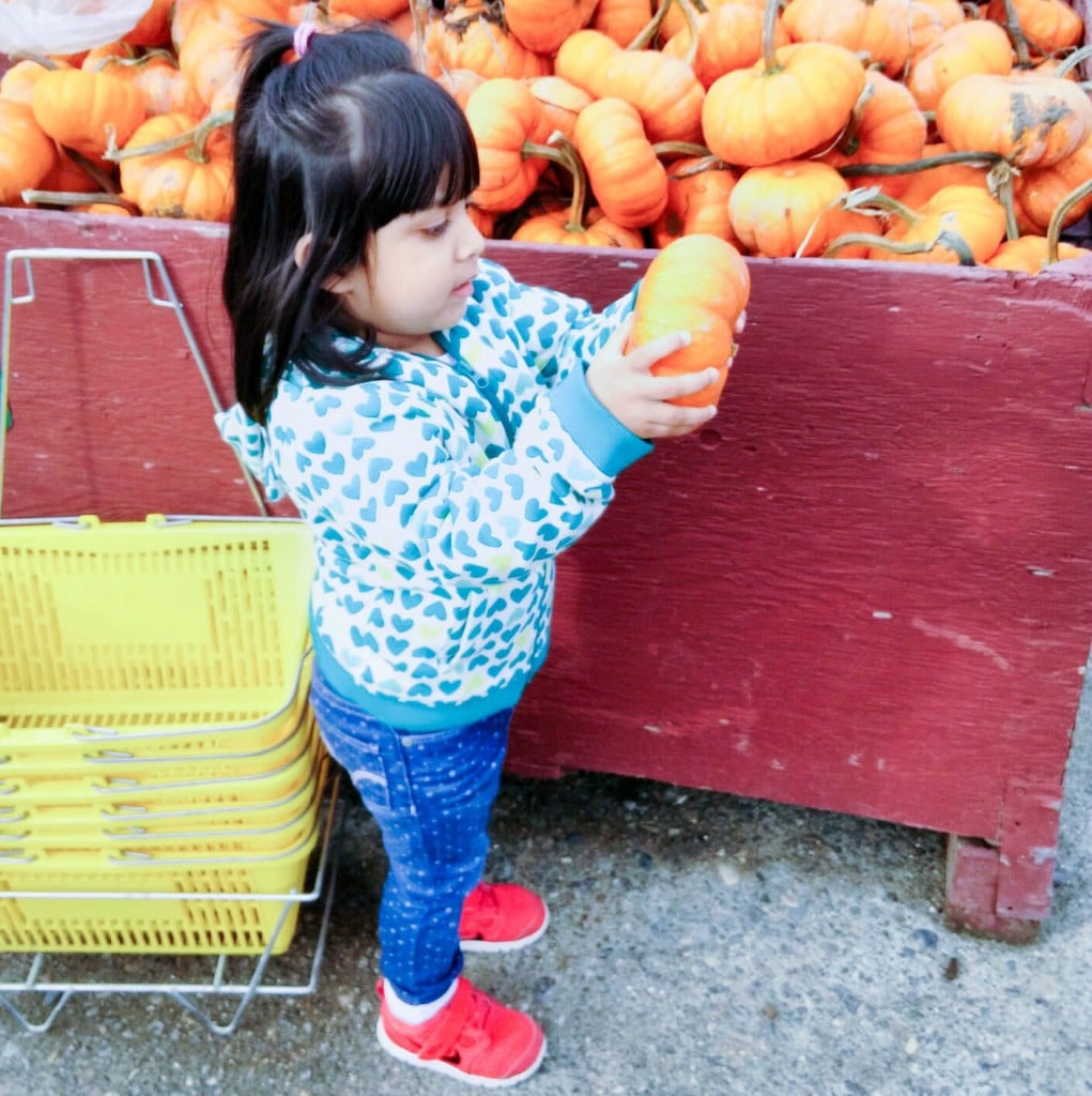 My daughter holding pumpkin in the pumpkin patch
