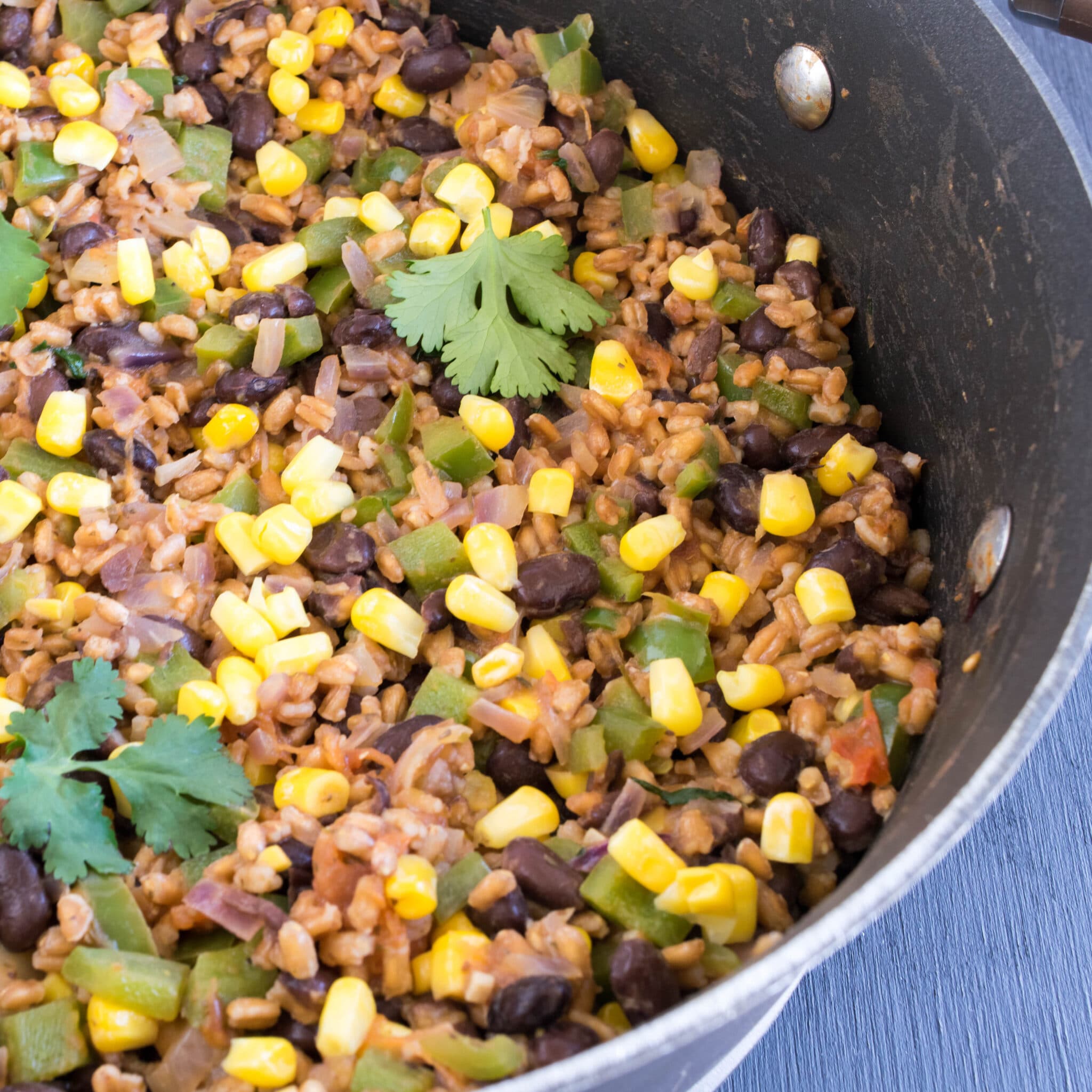 Farro Black Beans Mexican Bowl