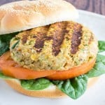 A front view of Chickpeas Zucchini Burger