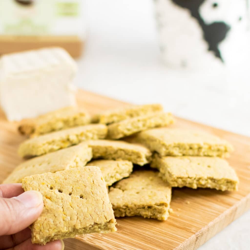  A hand holding Vegan Cheese Turmeric Oats Crackers