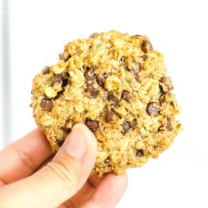 a hand holding vegan oatmeal chocolate chip cookies