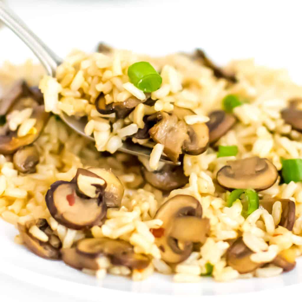 a fork picking up mushroom fried rice. 