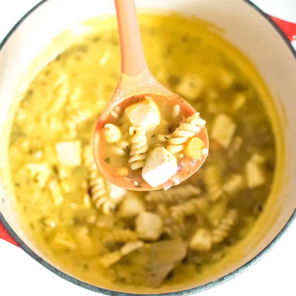 ladled vegan chicken noodle soup.