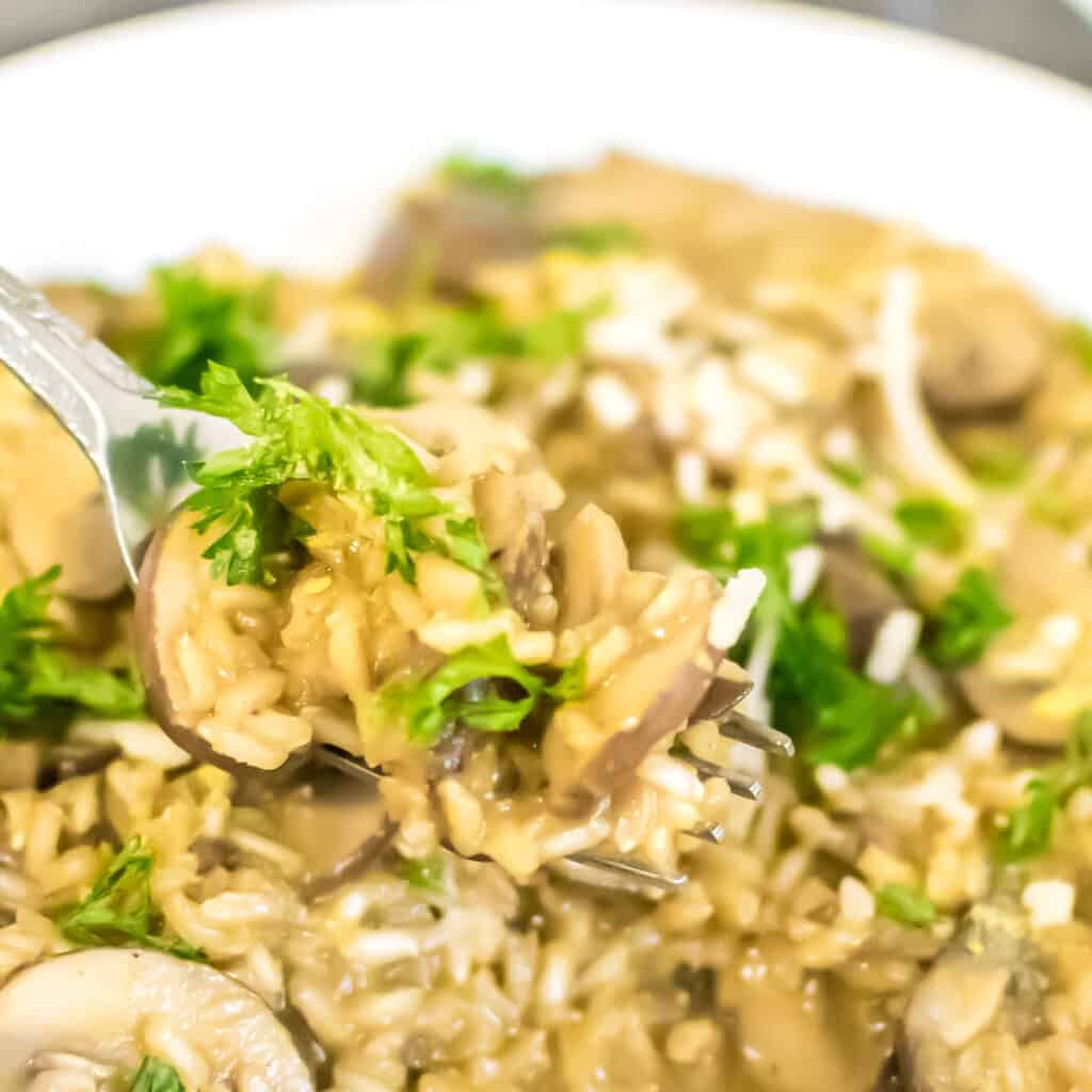 a fork picking up risotto.