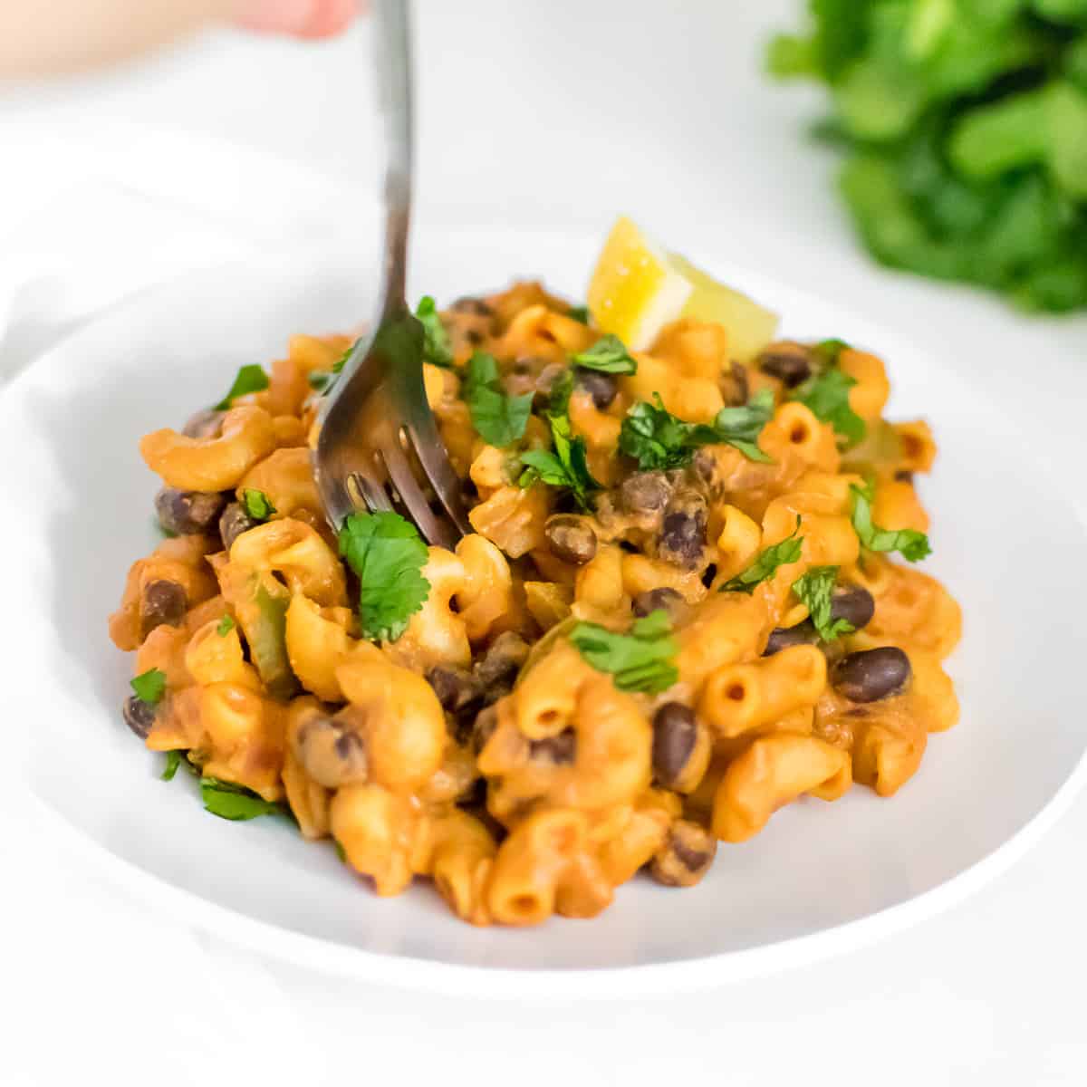 a fork digging into chipotle pasta.