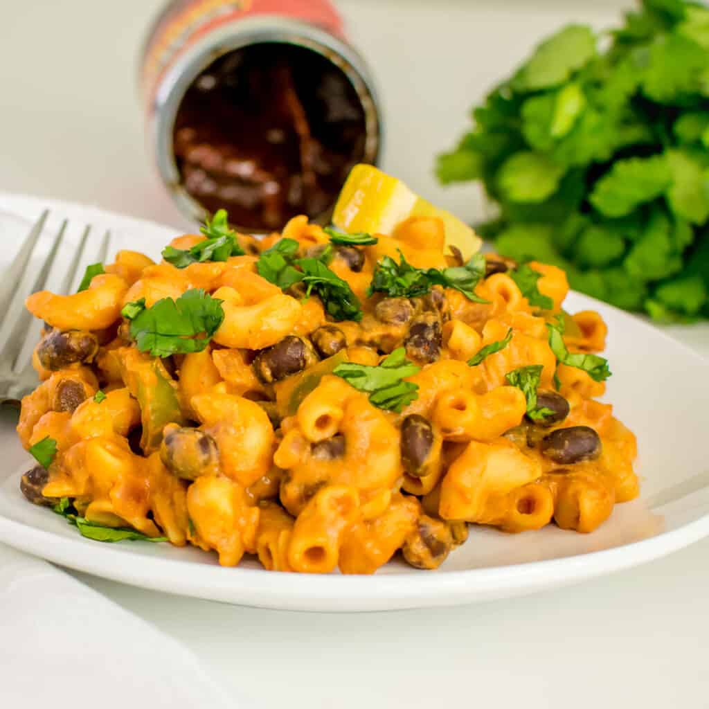 front view of chipotle pasta in a plate. 