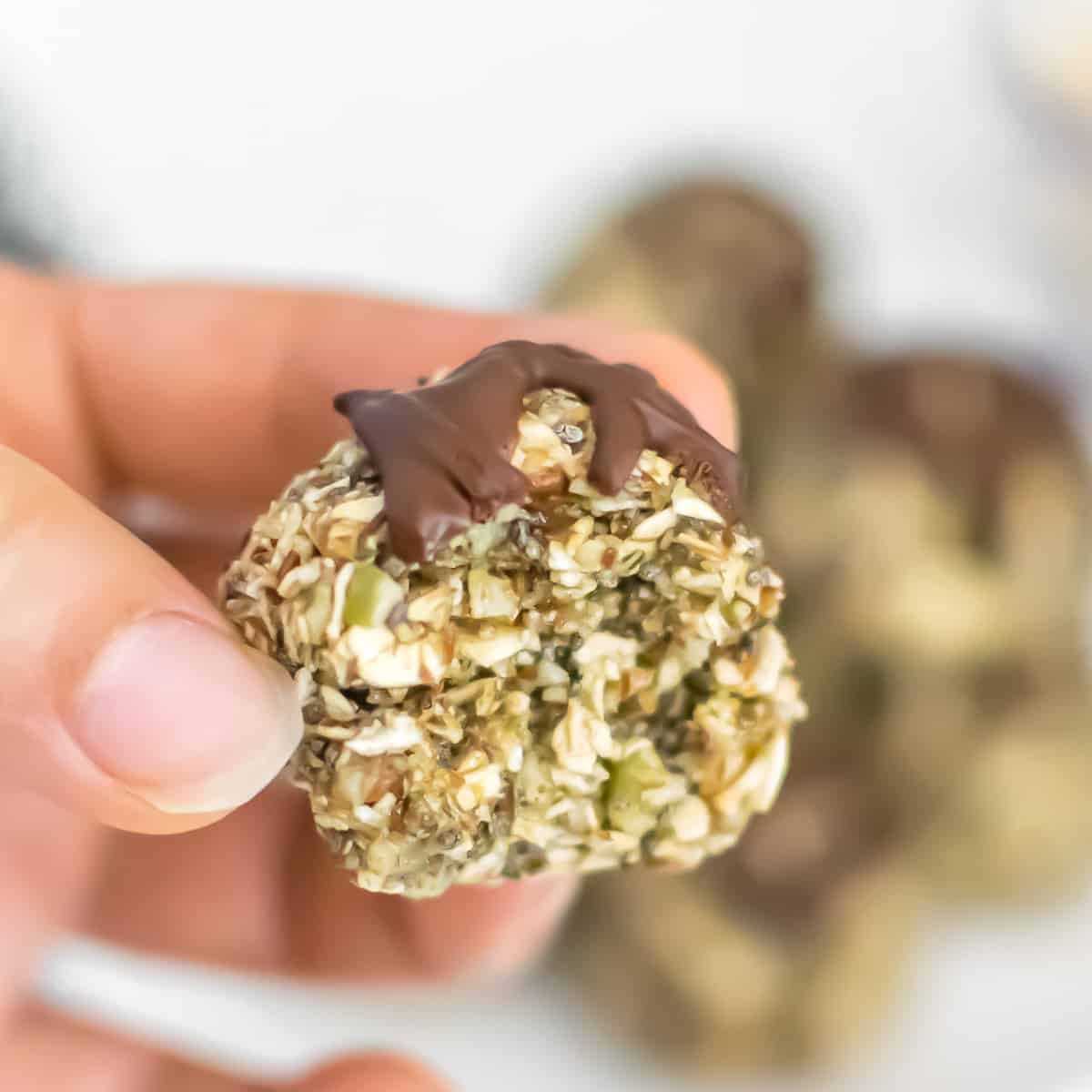 No Bake Oatmeal Protein Balls