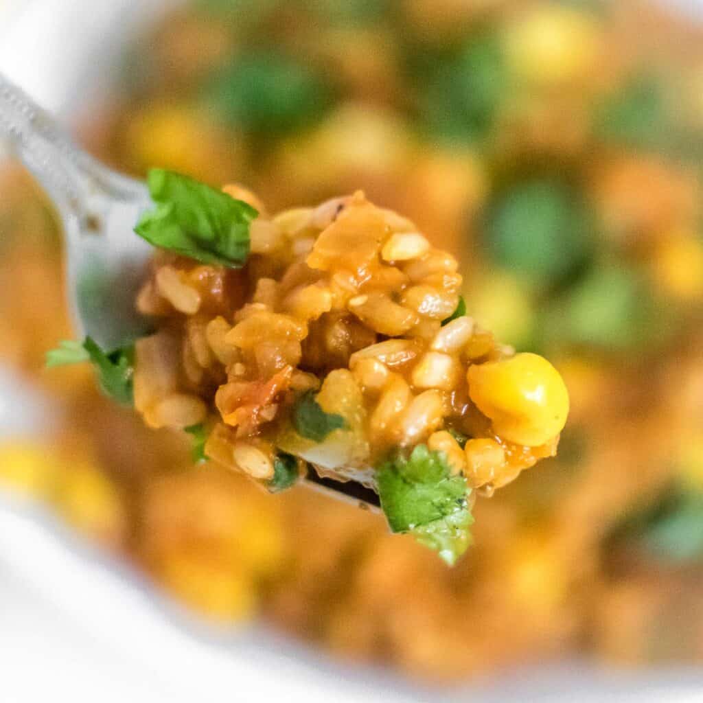 a spoonful of vegan Mexican brown rice. 