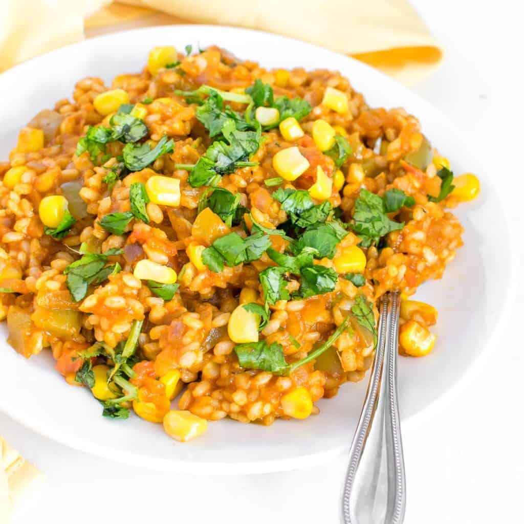 a front view of served vegan Mexican brown rice. 