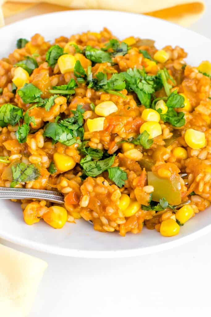 a 45 degree angle view of a spoon scooped in vegan Mexican brown rice. 