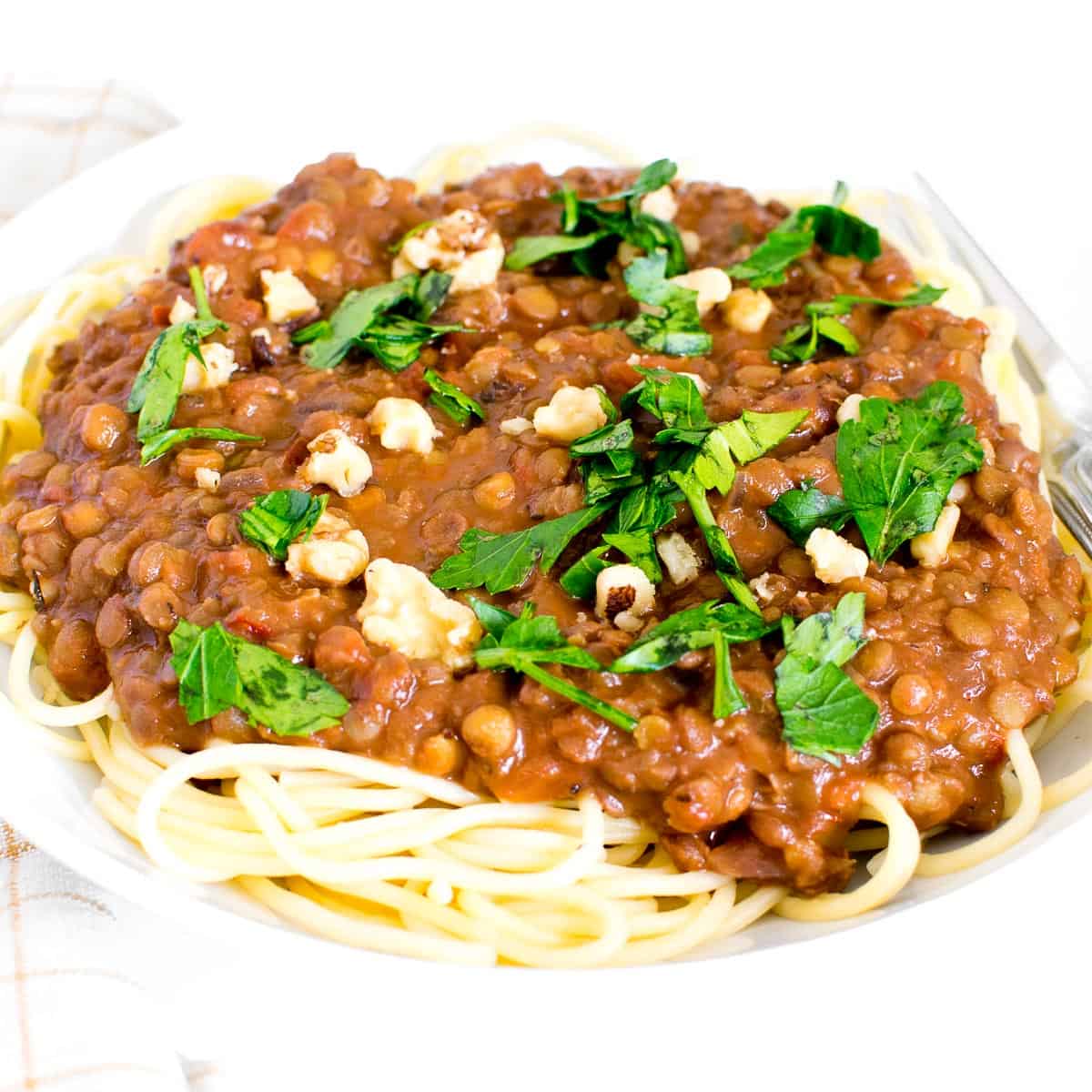 vegan lentil Bolognese topped over cooked spaghetti and garnished with parsley. 