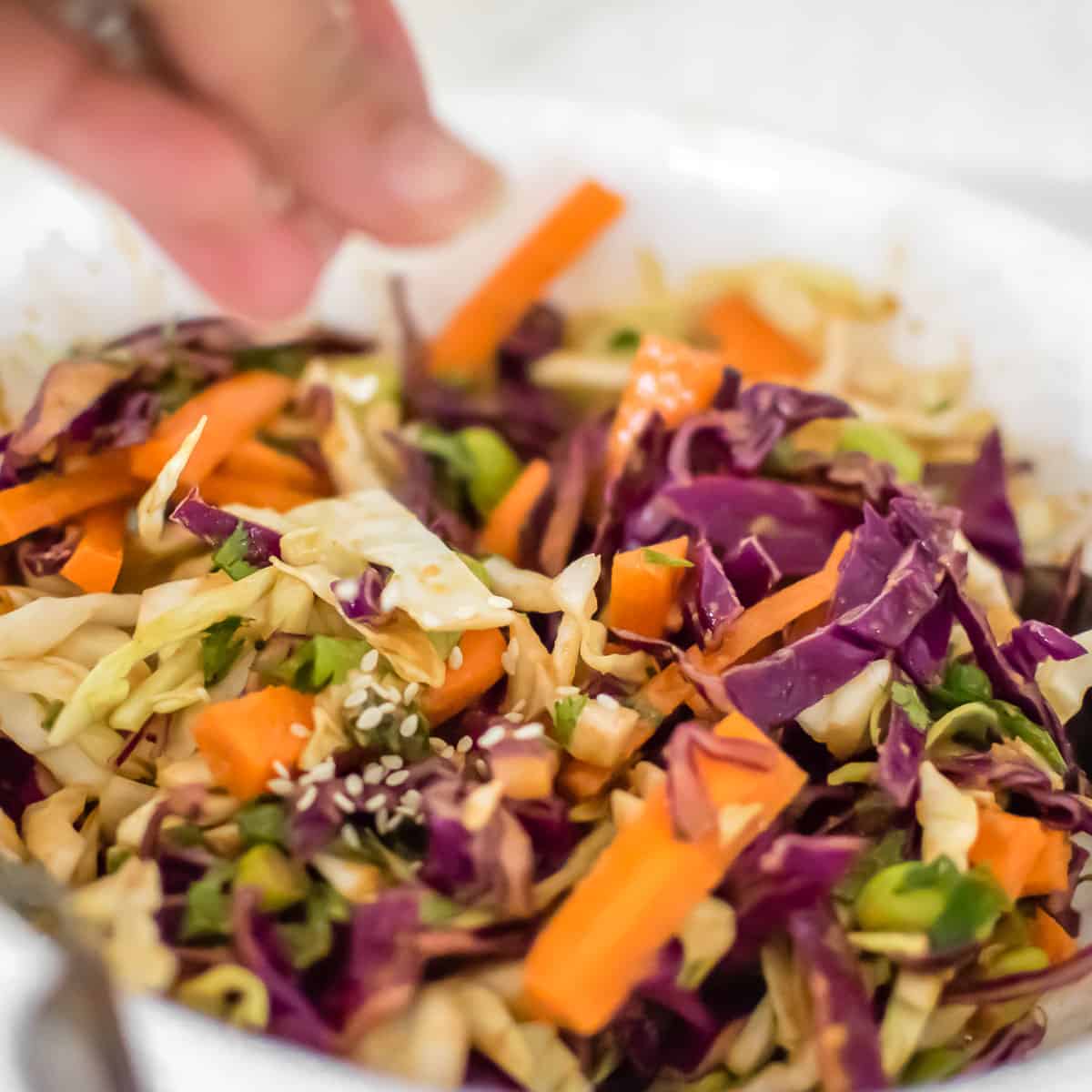 Asian cabbage salad being garnished to be served.