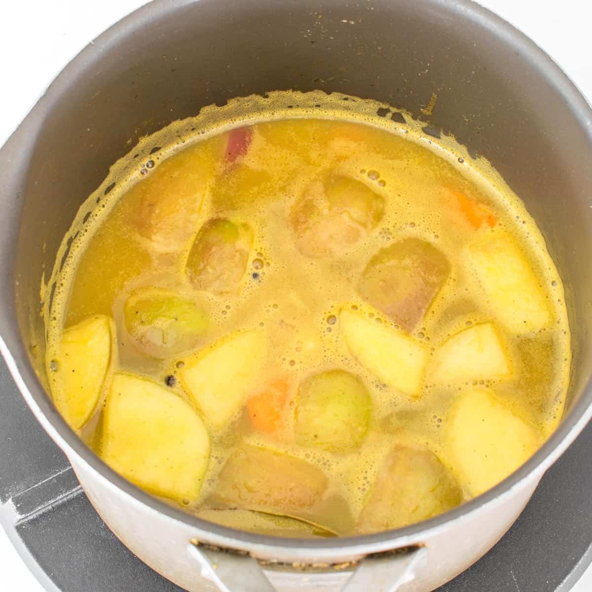 cooked soup in the stockpot.