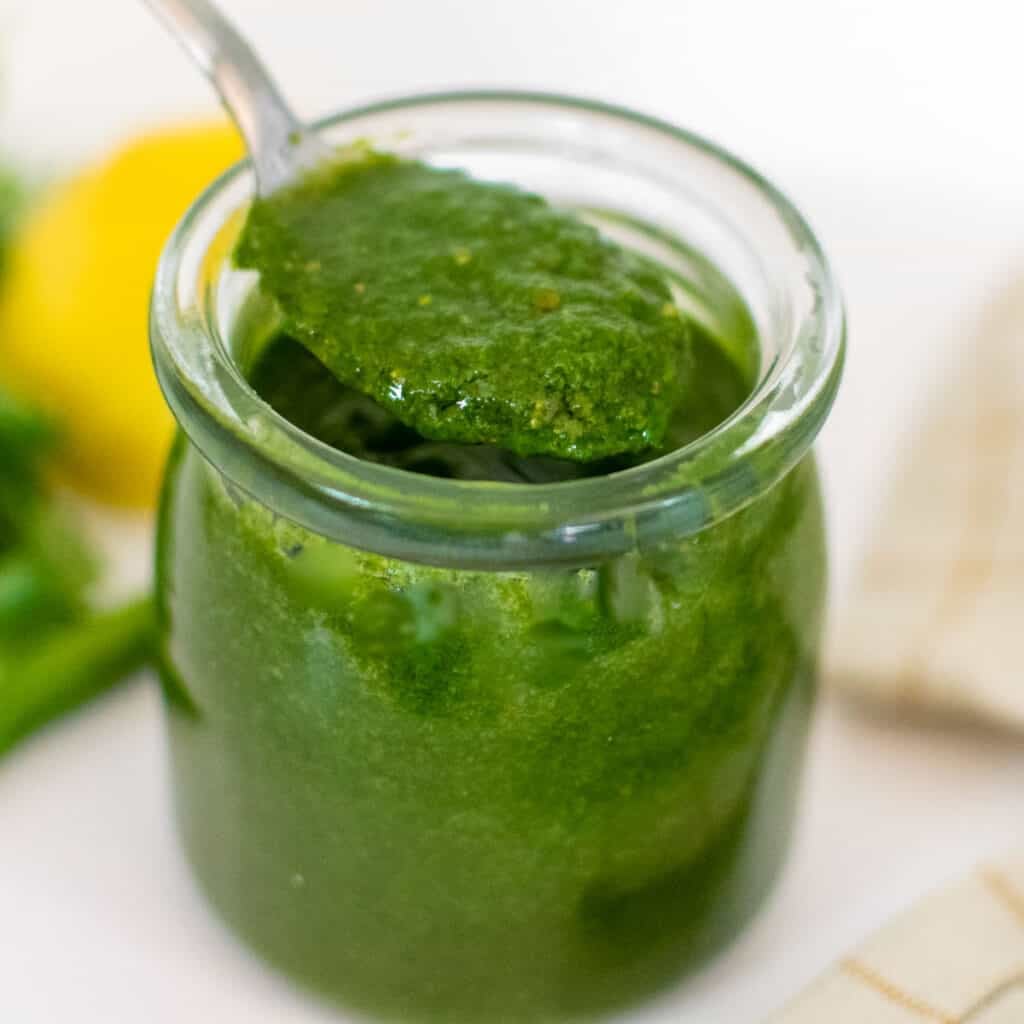 Fresh Cilantro Chutney Indian Green Chutney Kiipfit
