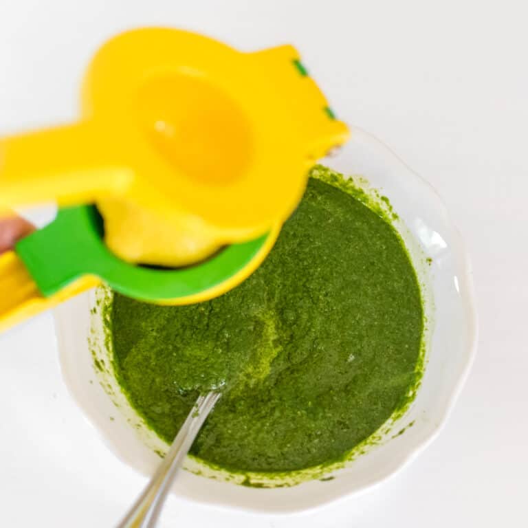 Fresh Cilantro Chutney Indian Green Chutney Kiipfit