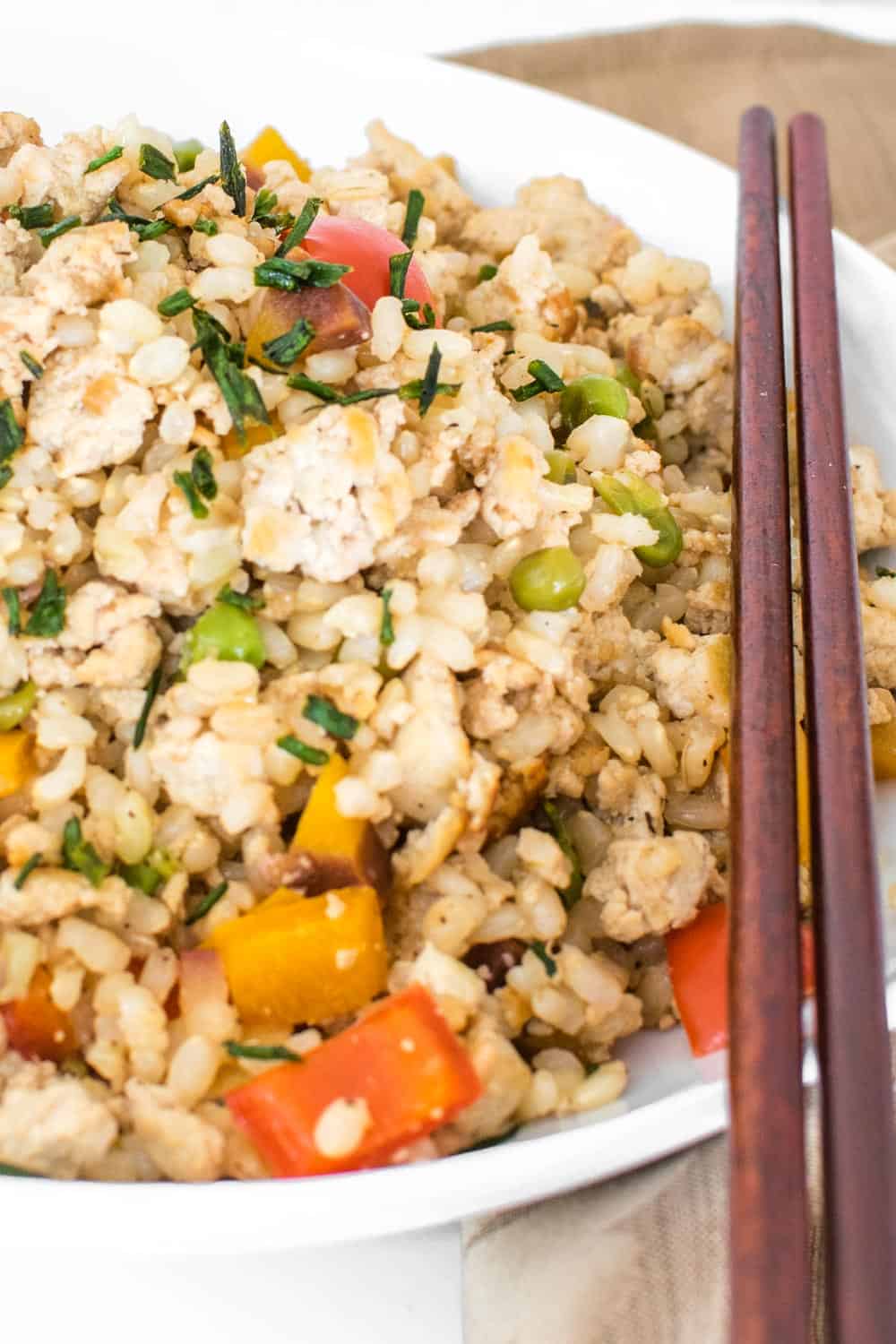 a close up view of tofu fried rice.