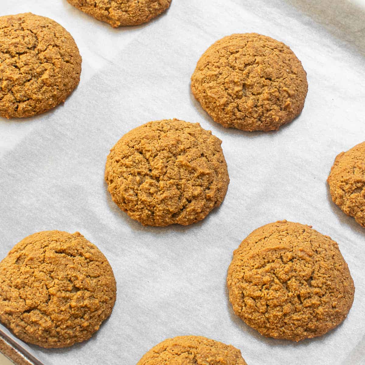 baked cookies in the baking sheet to cool down.